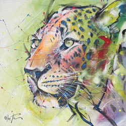Guépard